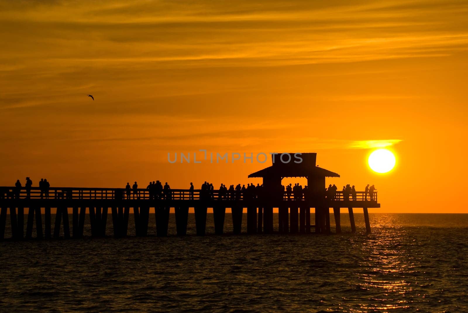 Sunset in Naples,Florida,USA