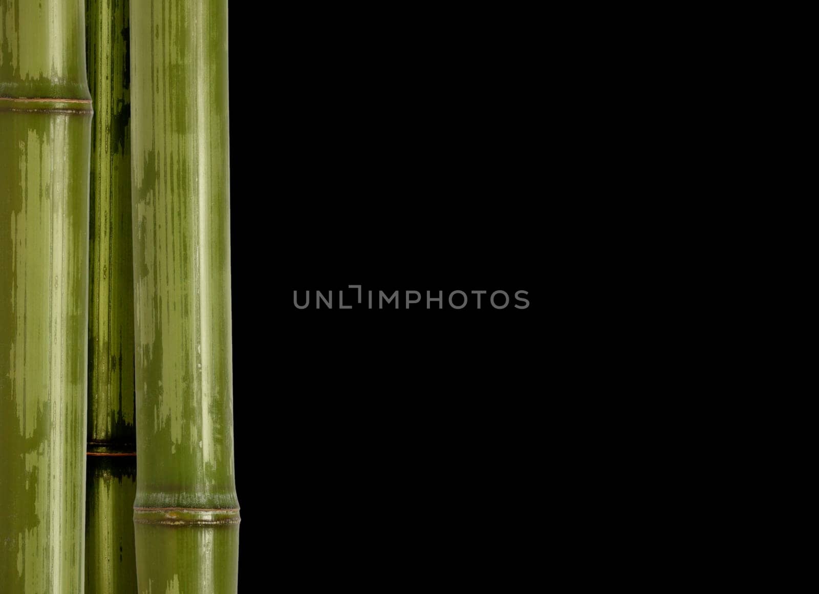bamboo background