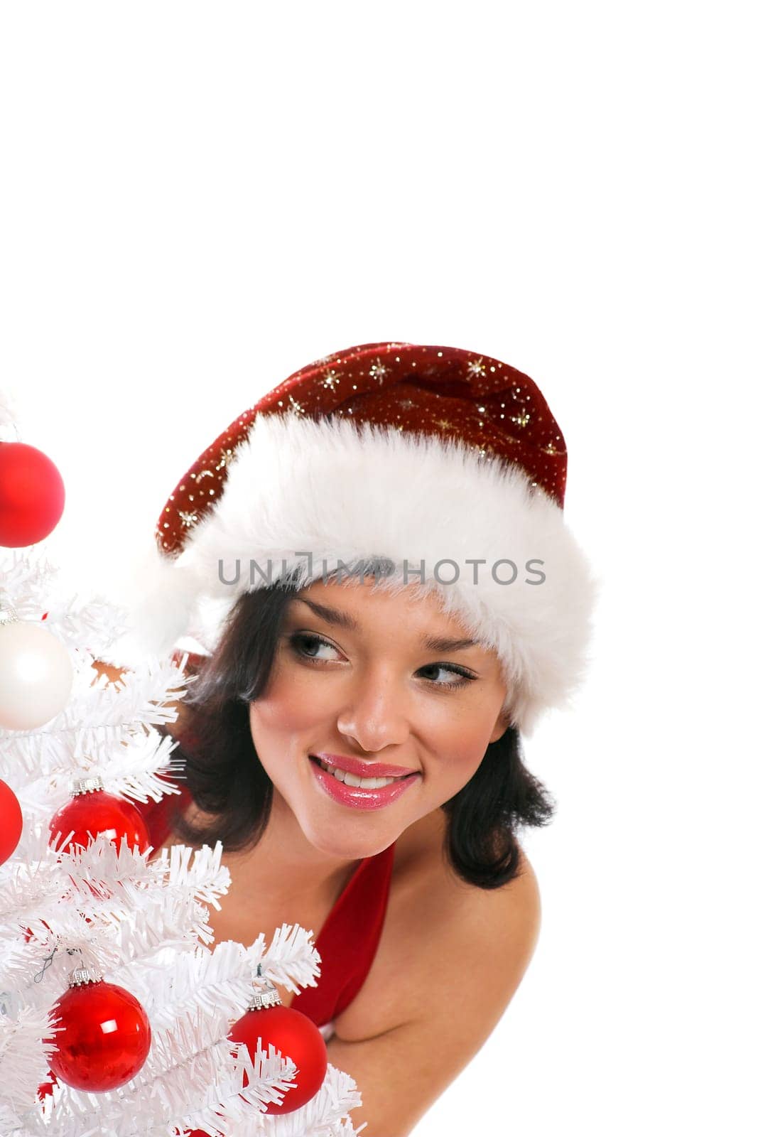 Santa Woman with Christmas Tree