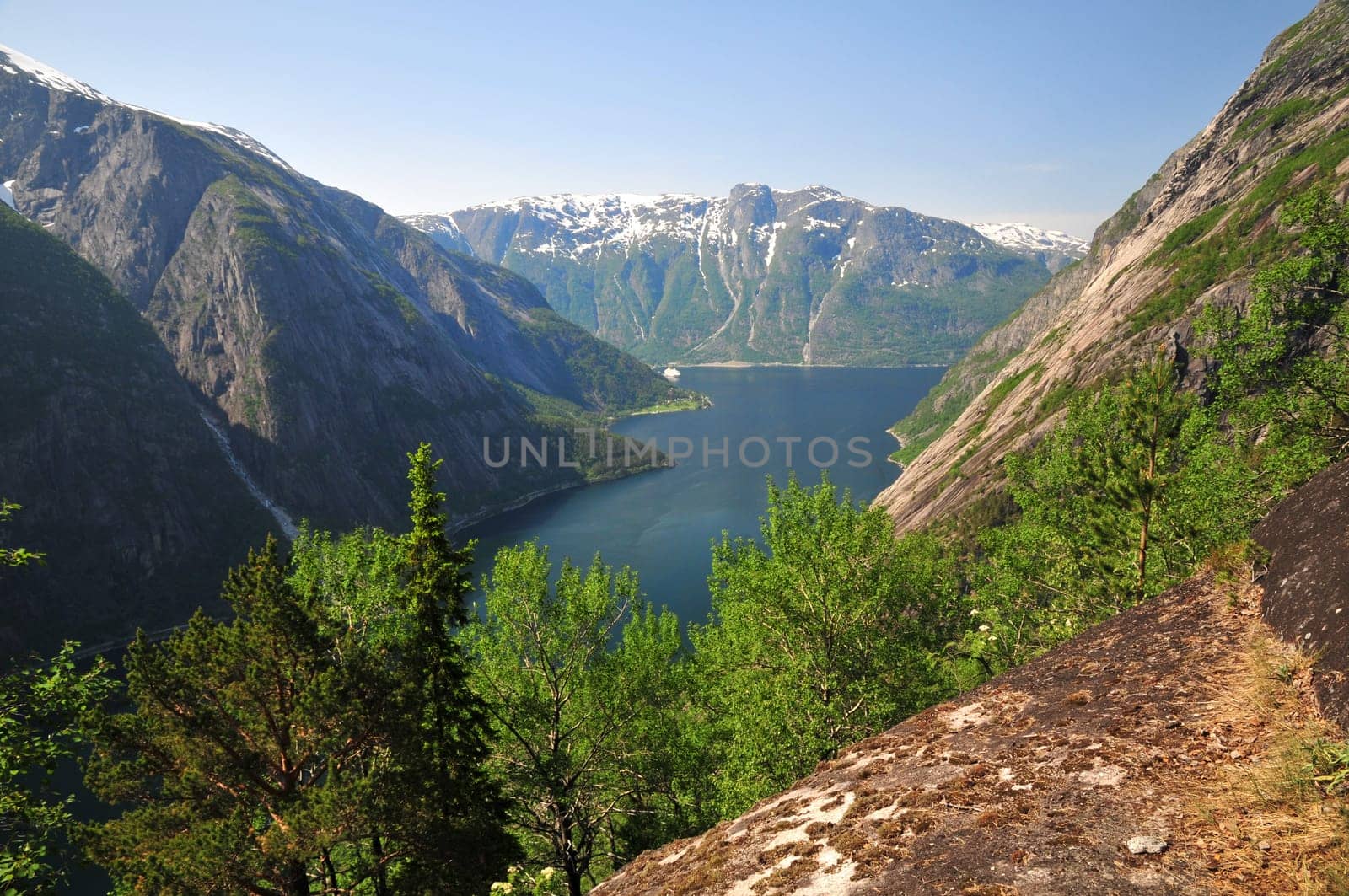 View from Kjeåsen over the Simadalsfjord in Norway.
