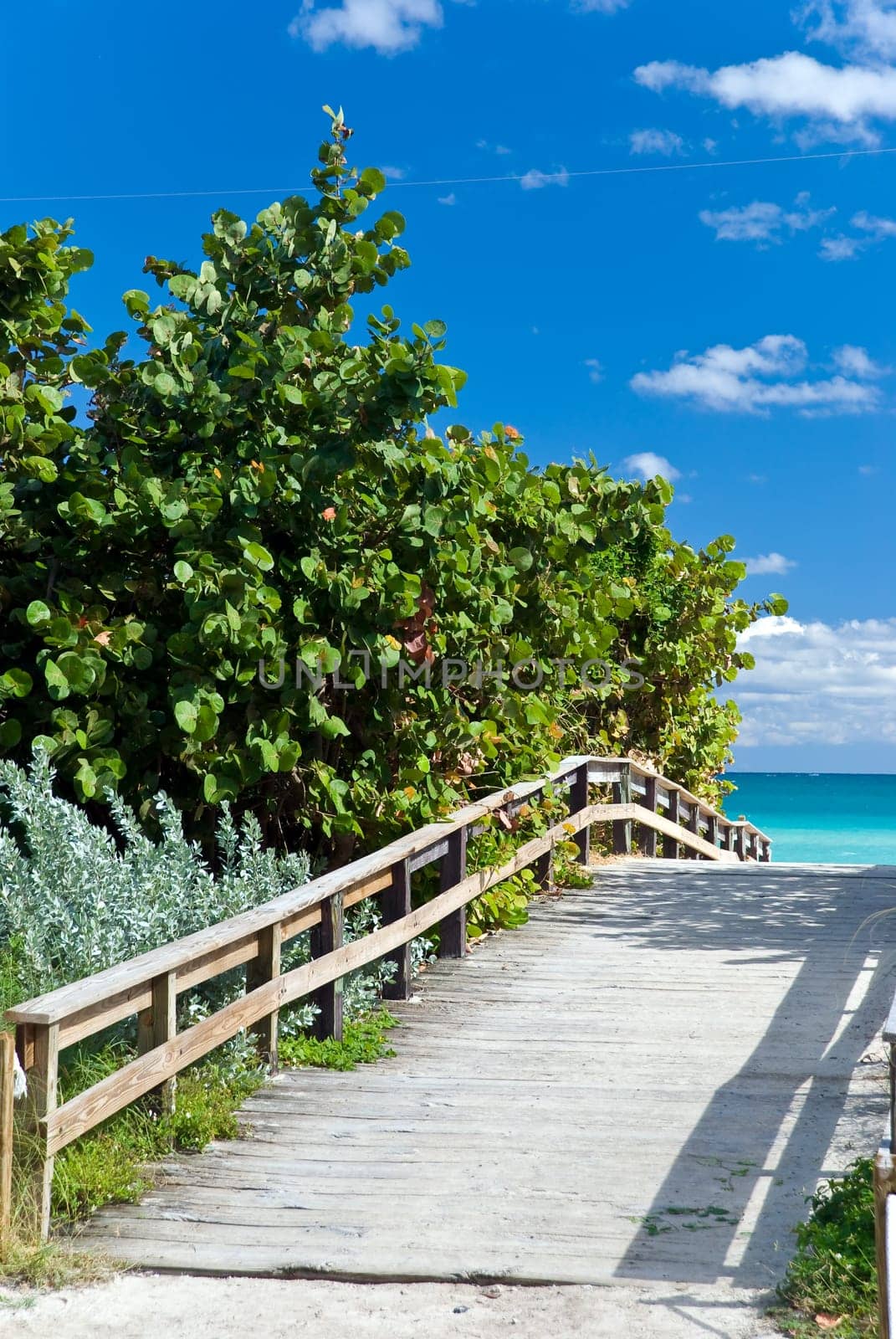 Miami Beach Strand