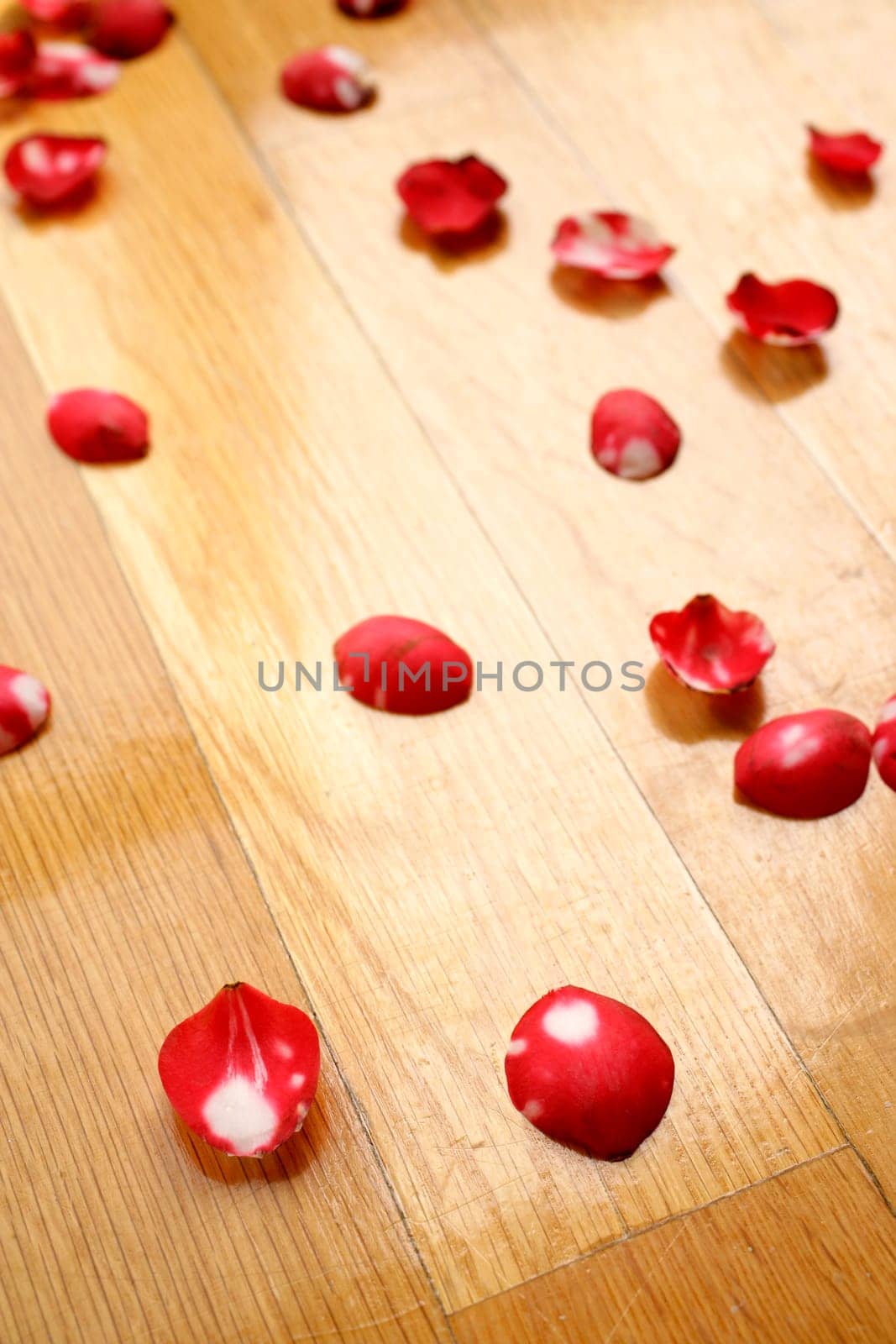 rose petals on the floor