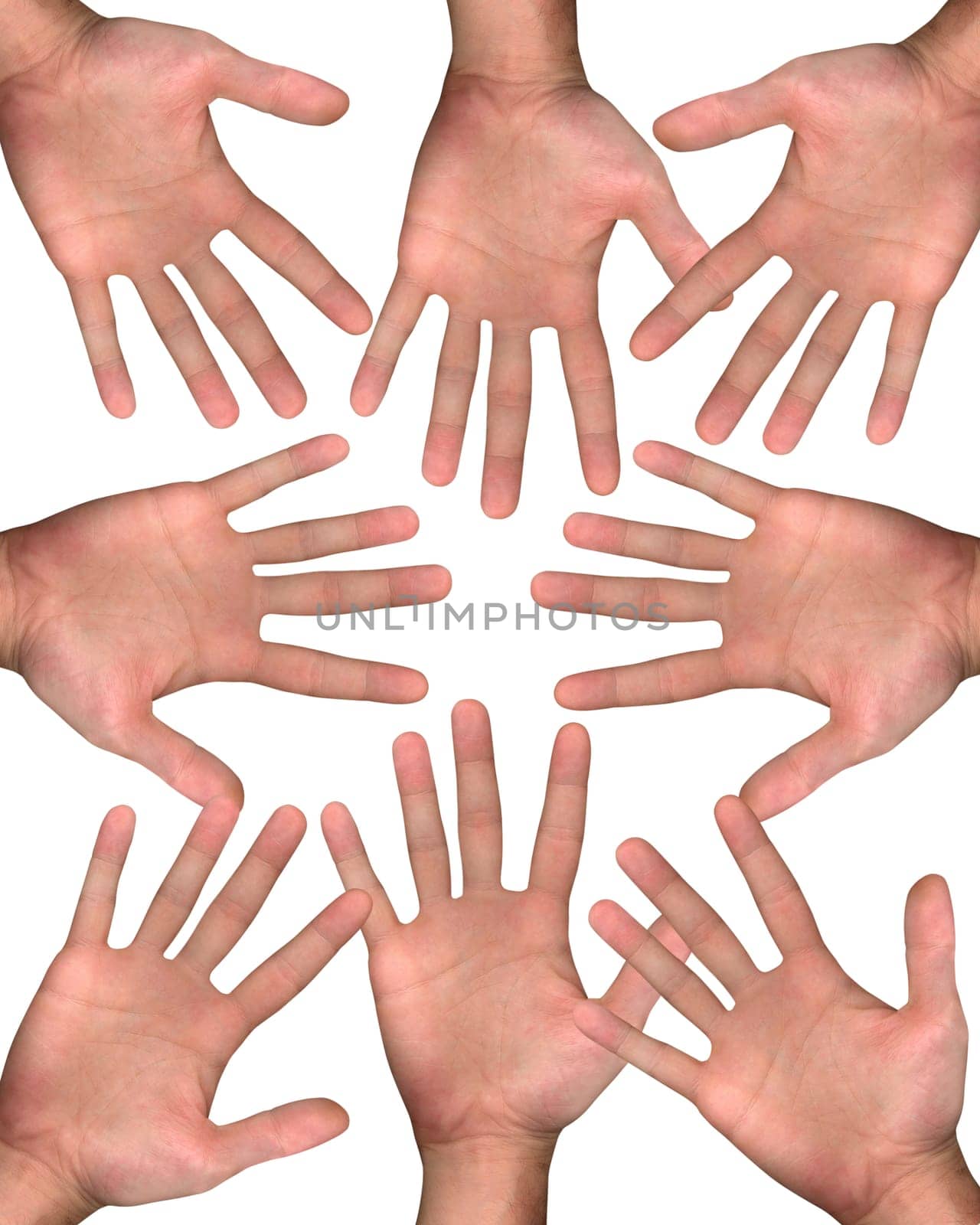 isolated hands over the white background