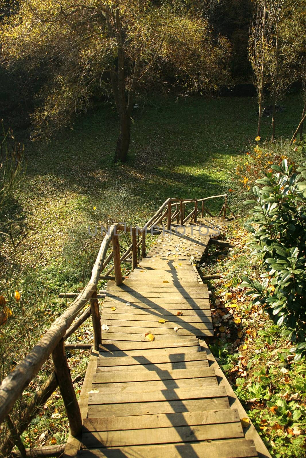 colorful leaves with stairs
