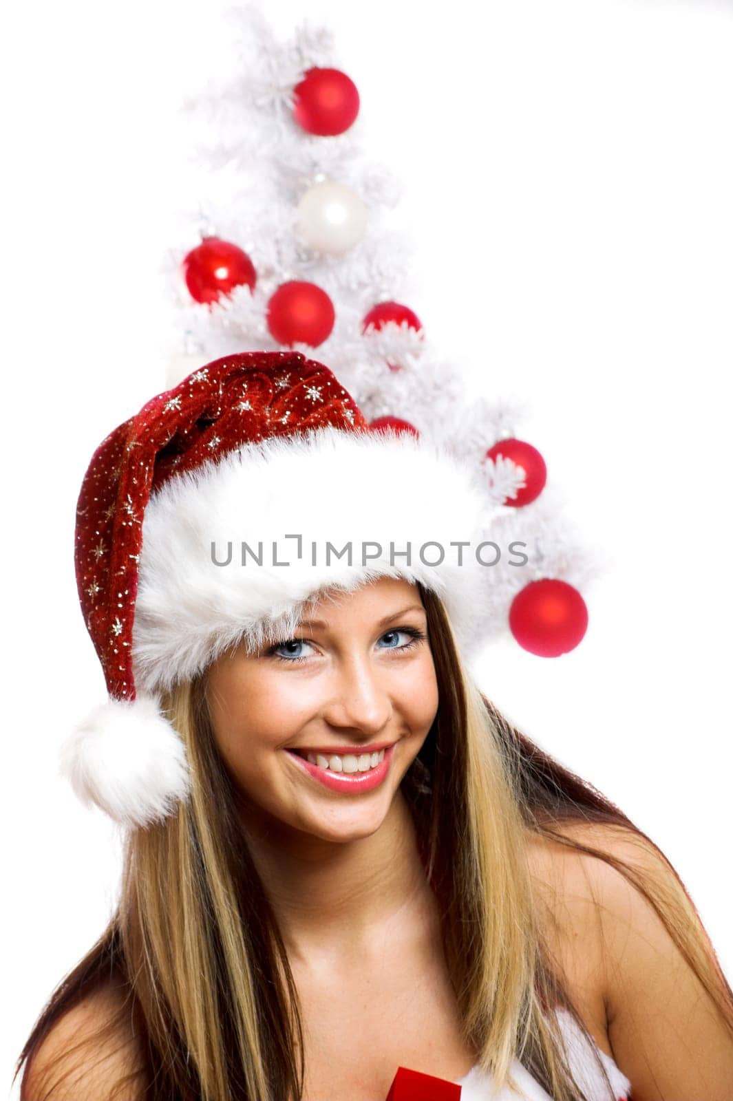 Santa Woman with Christmas Tree