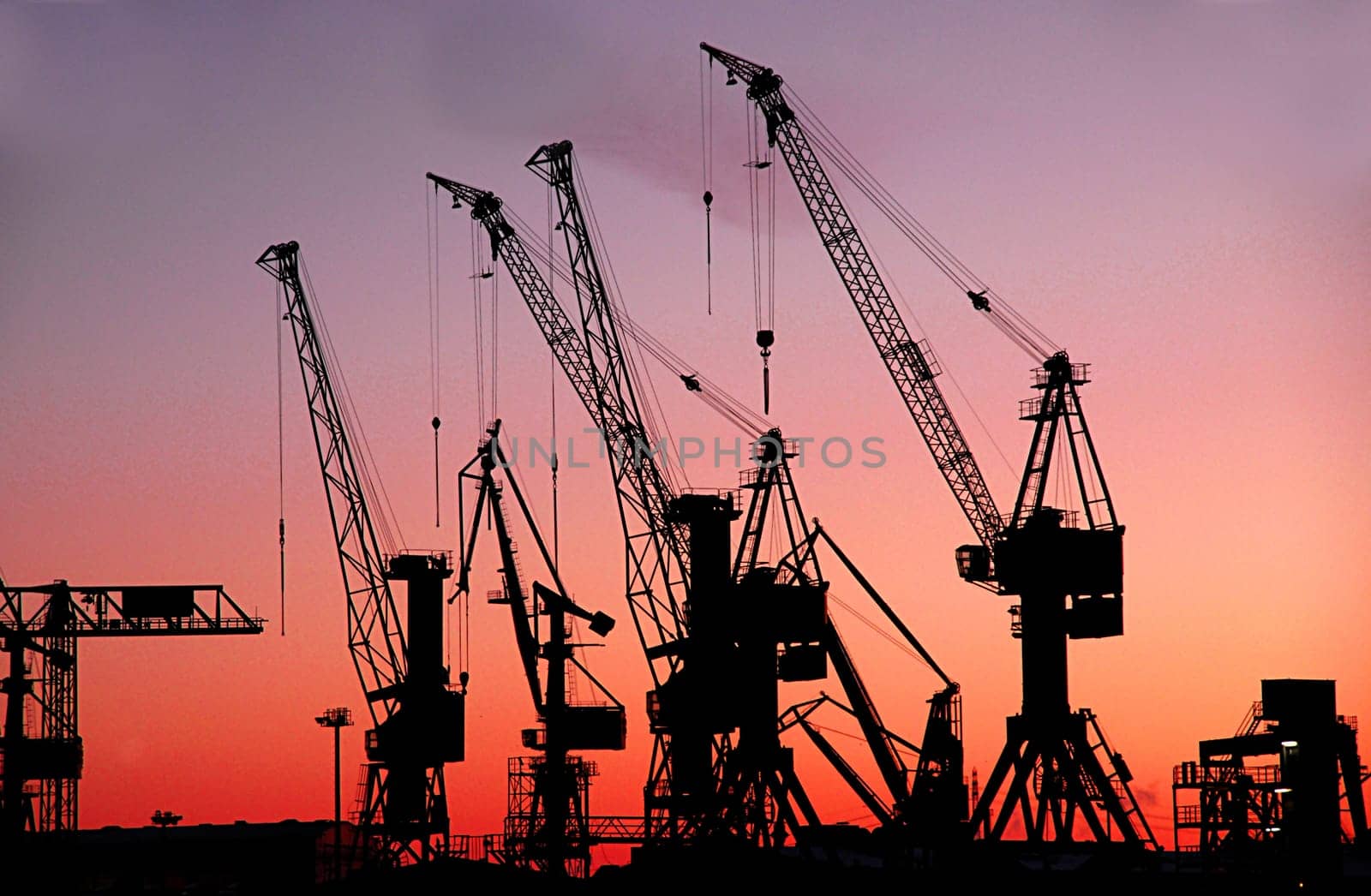 Harbour cranes in the Port of Hamburg