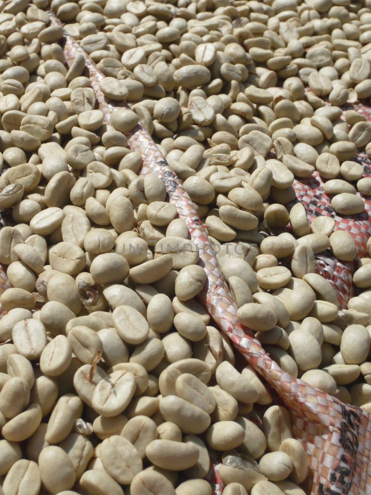 Highland coffee from Thailand
