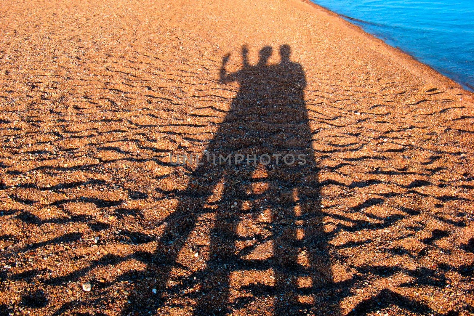 courting couple shadow on the beach in Egypt - Nuweiba