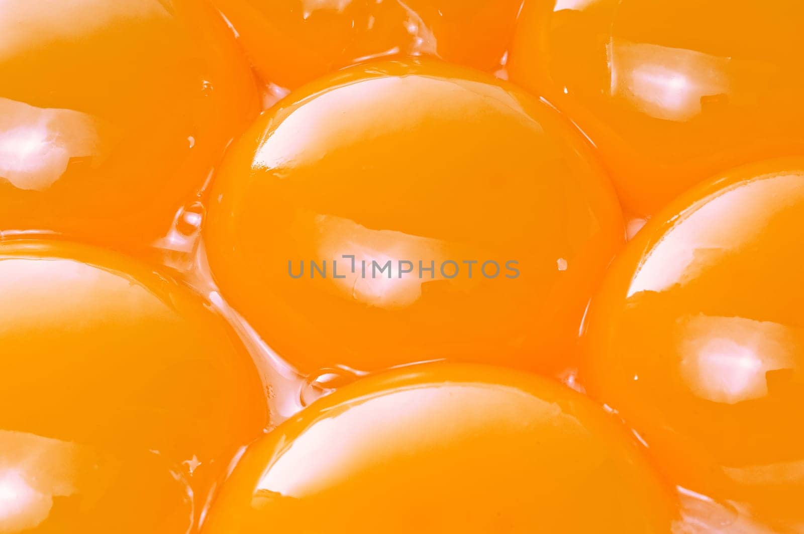 Yolk