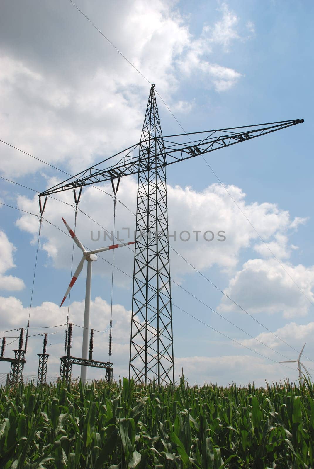 Electricity from wind and bioenergy