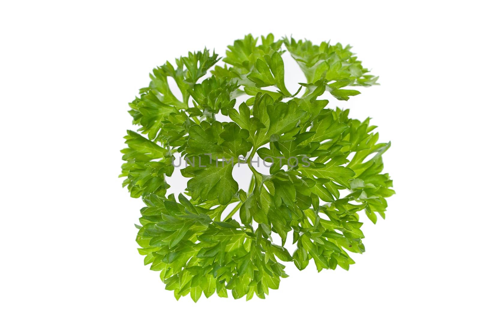 Parsley