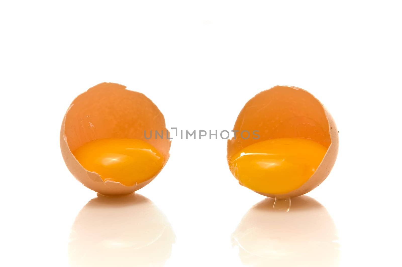 Yolk