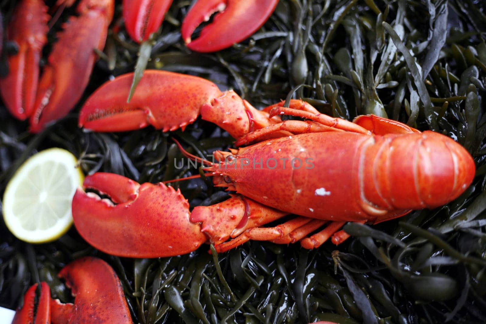 Lobster in the street display of a delicatessen