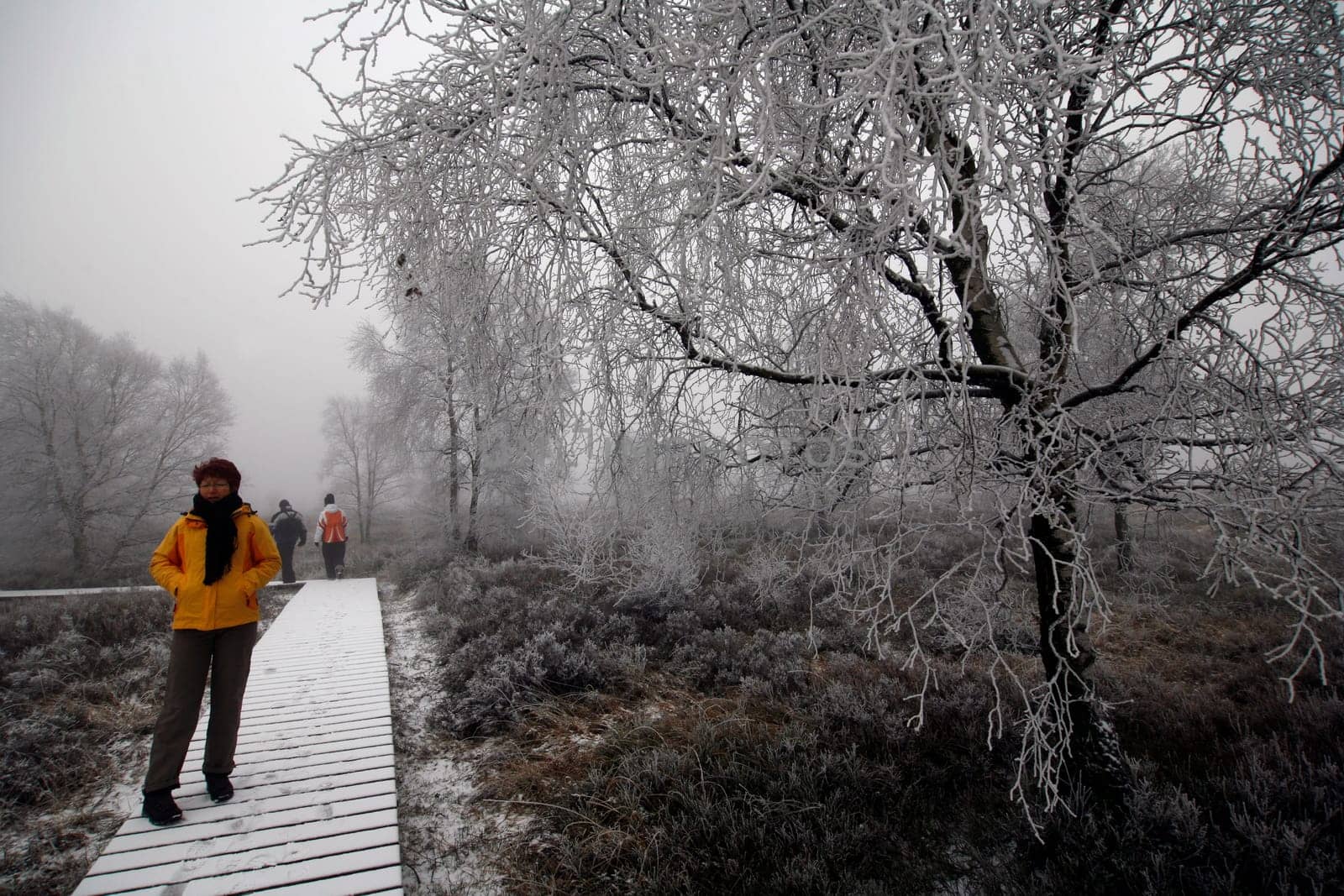 Winter in the High Fens