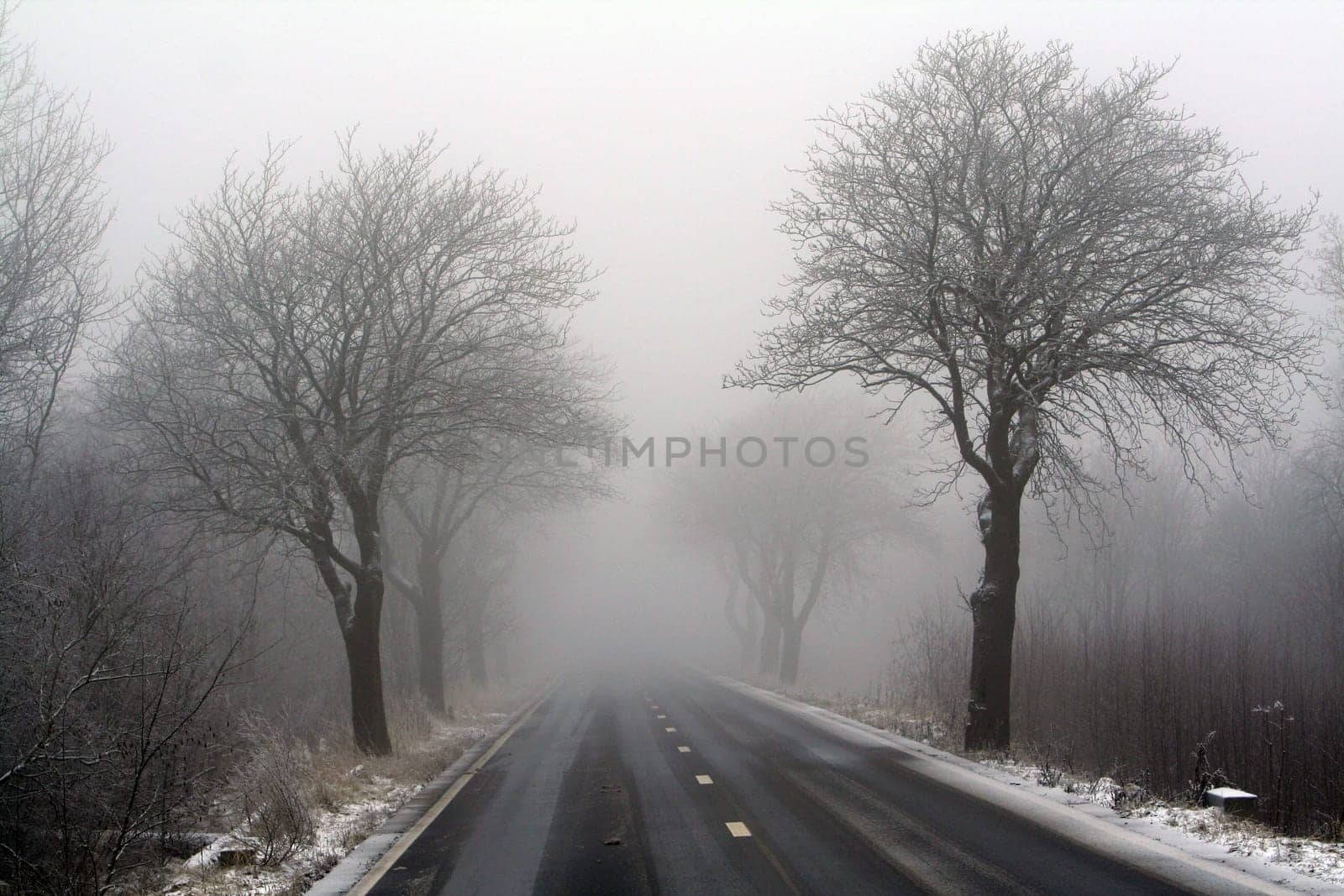 foggy road