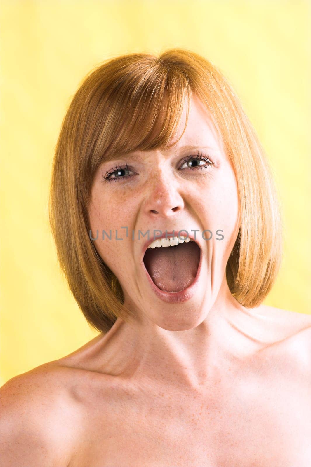 shout