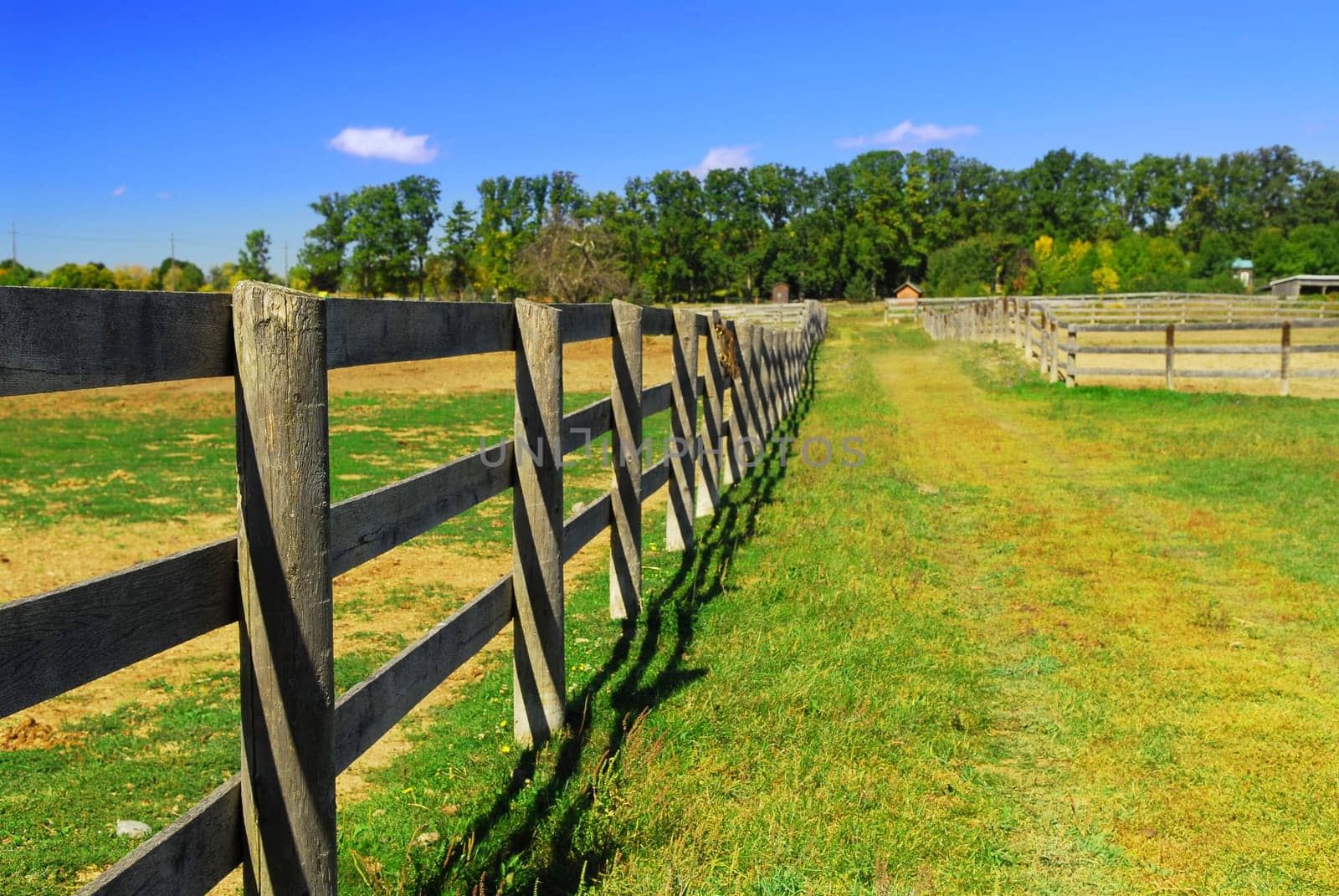 Rural landscape