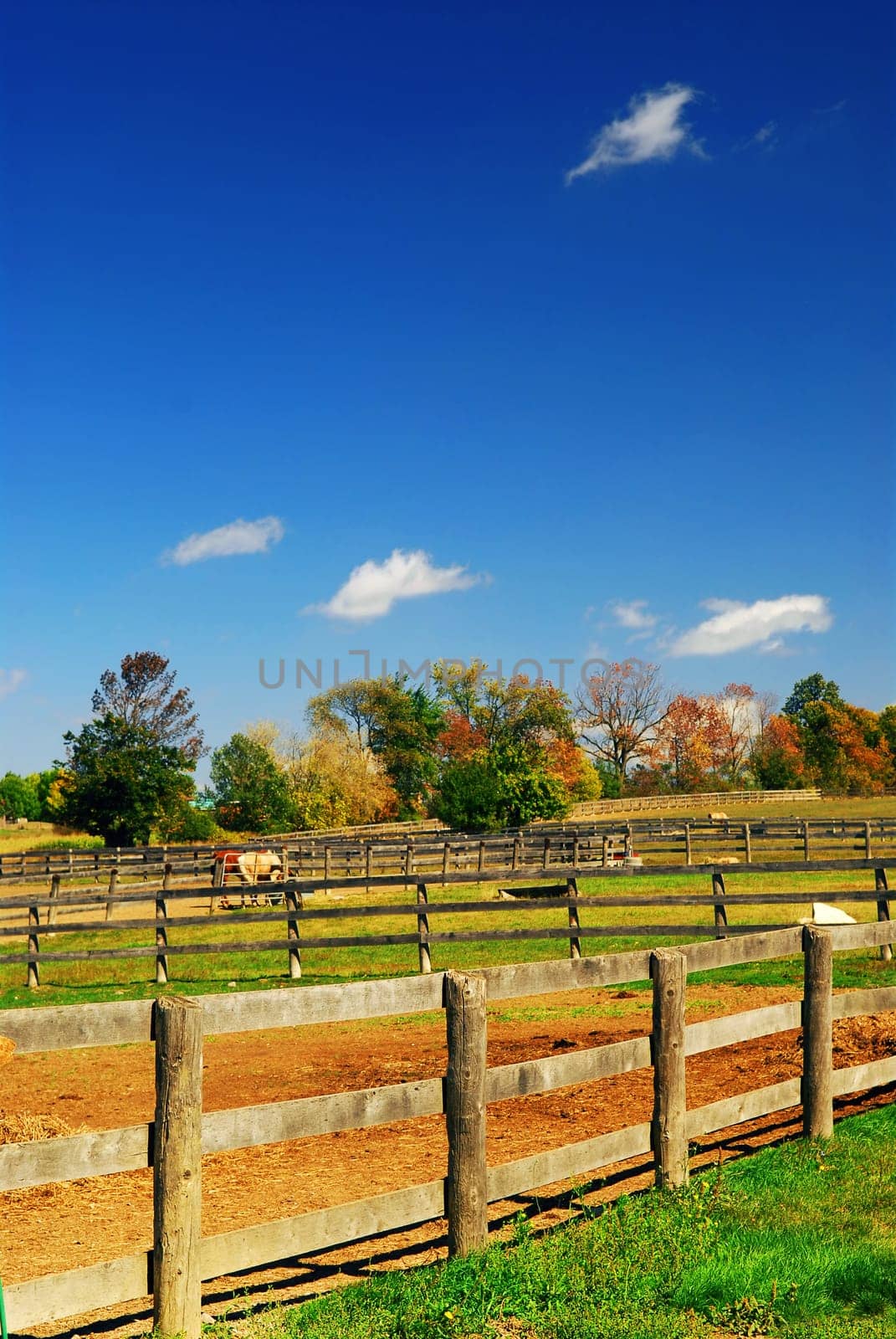 Rural landscape
