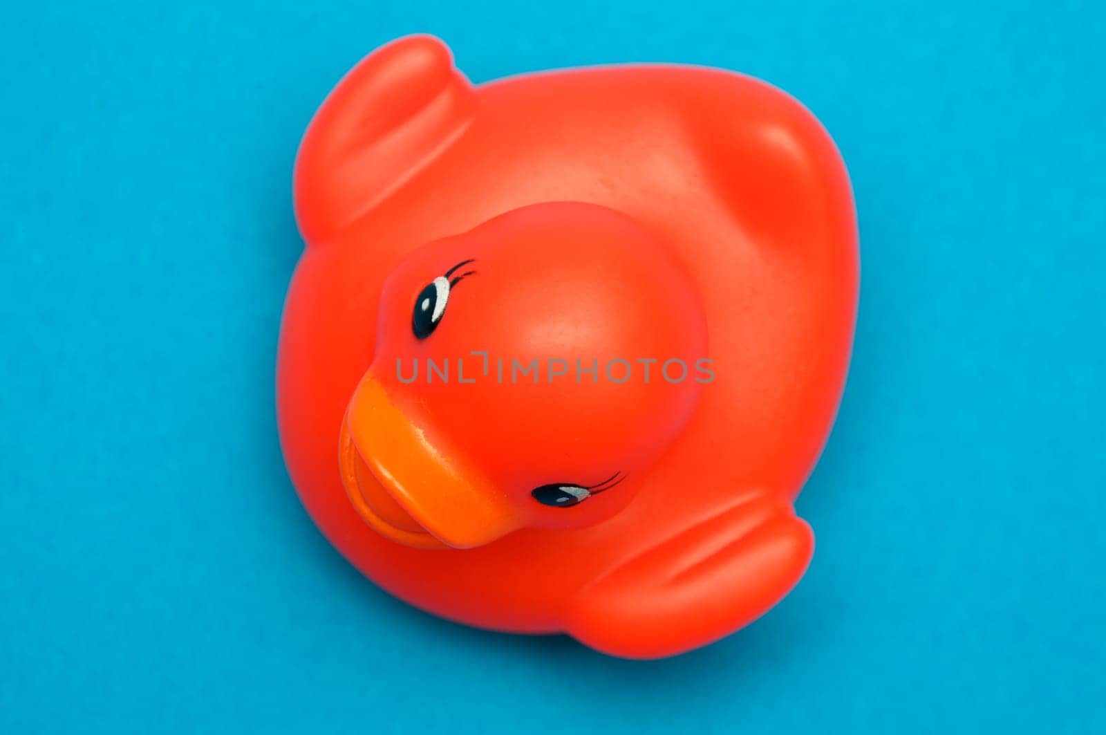 Red plastic duck