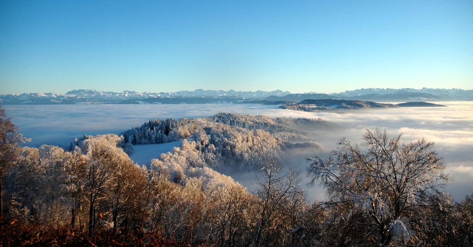About Zurich