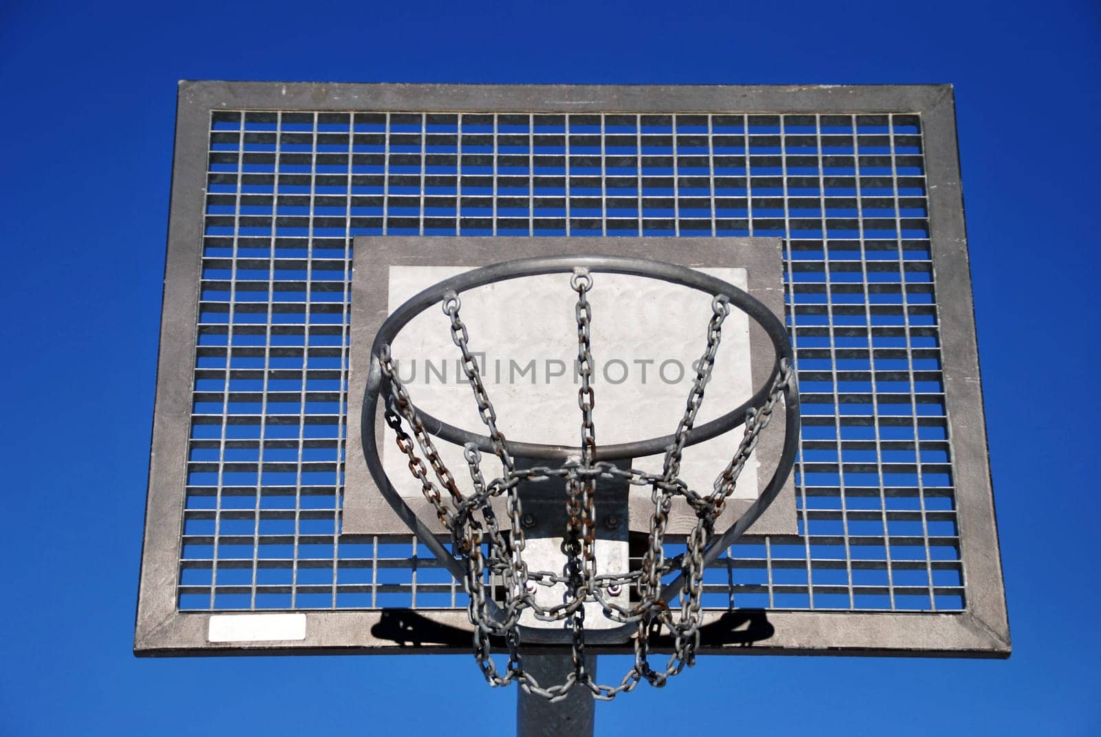 Basketball 7331