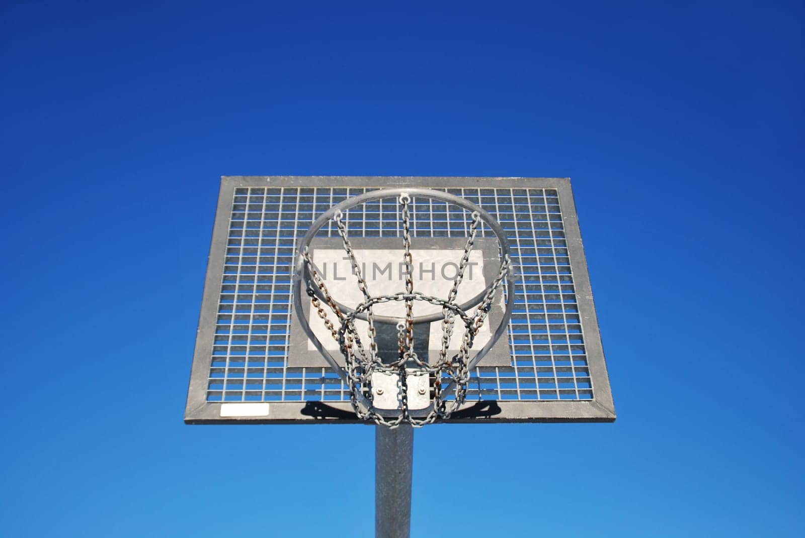 Basketball 7330