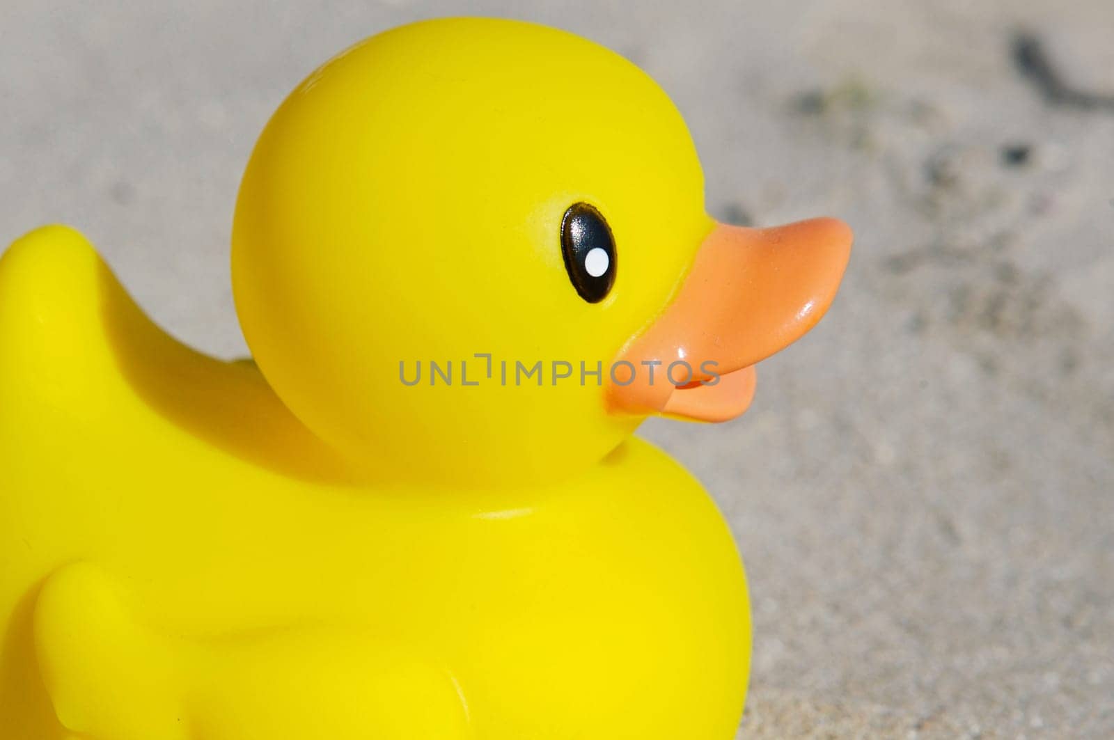 Yellow toy duck