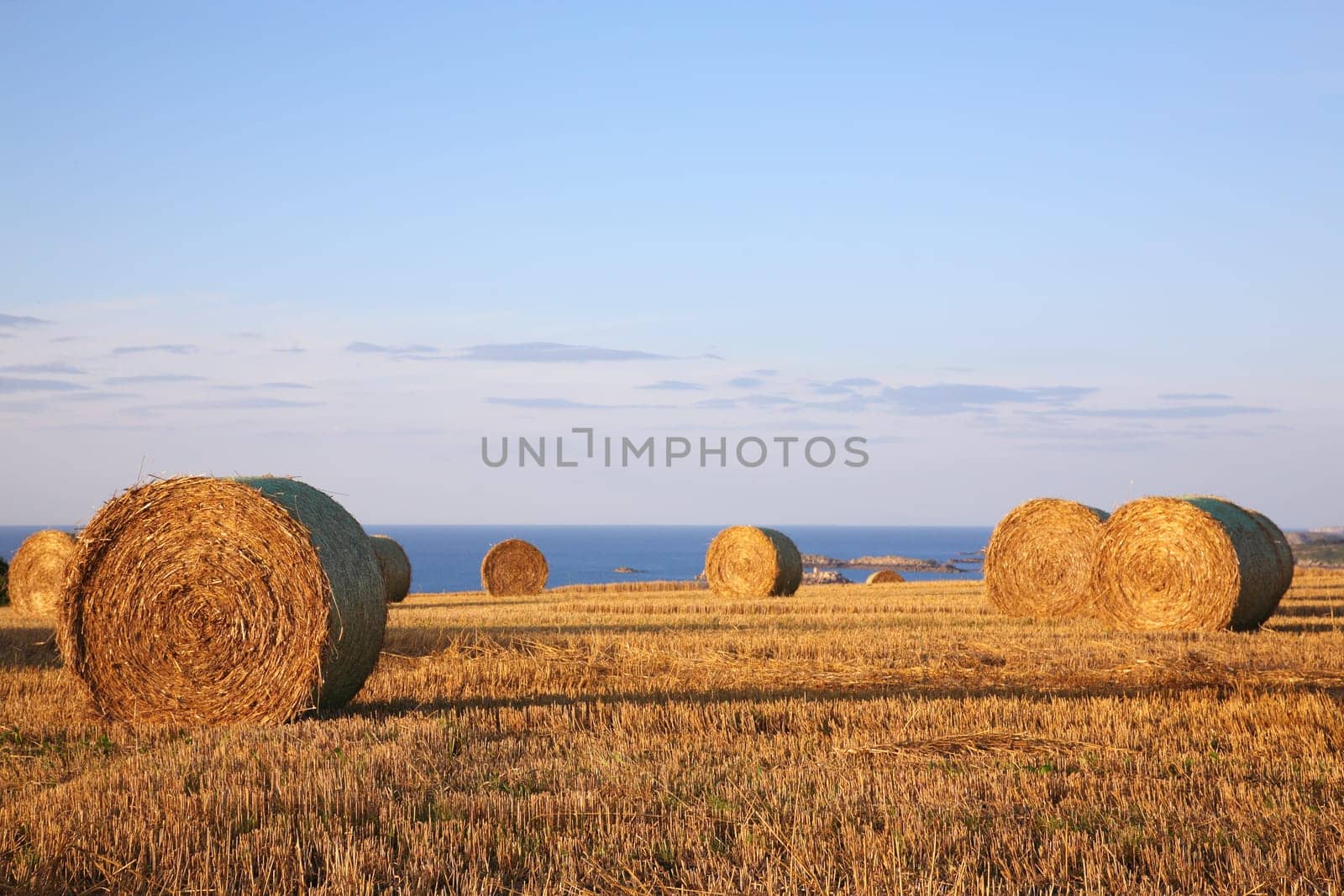 Straw bales