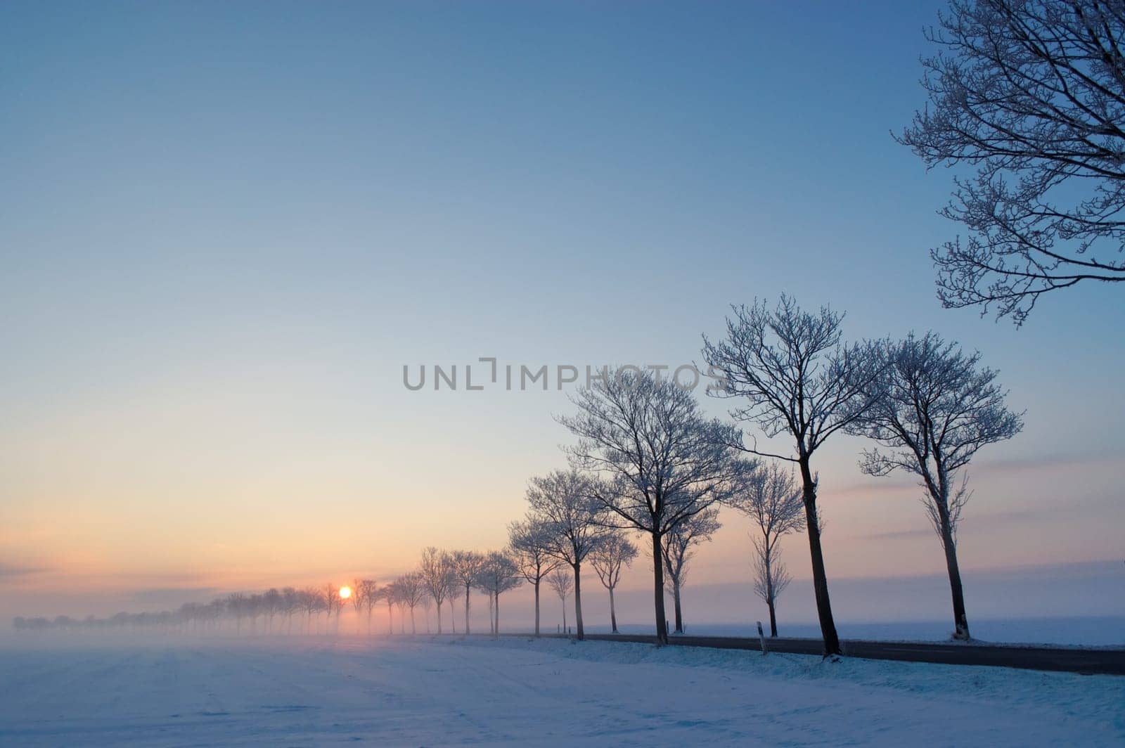 Winter Morning 2