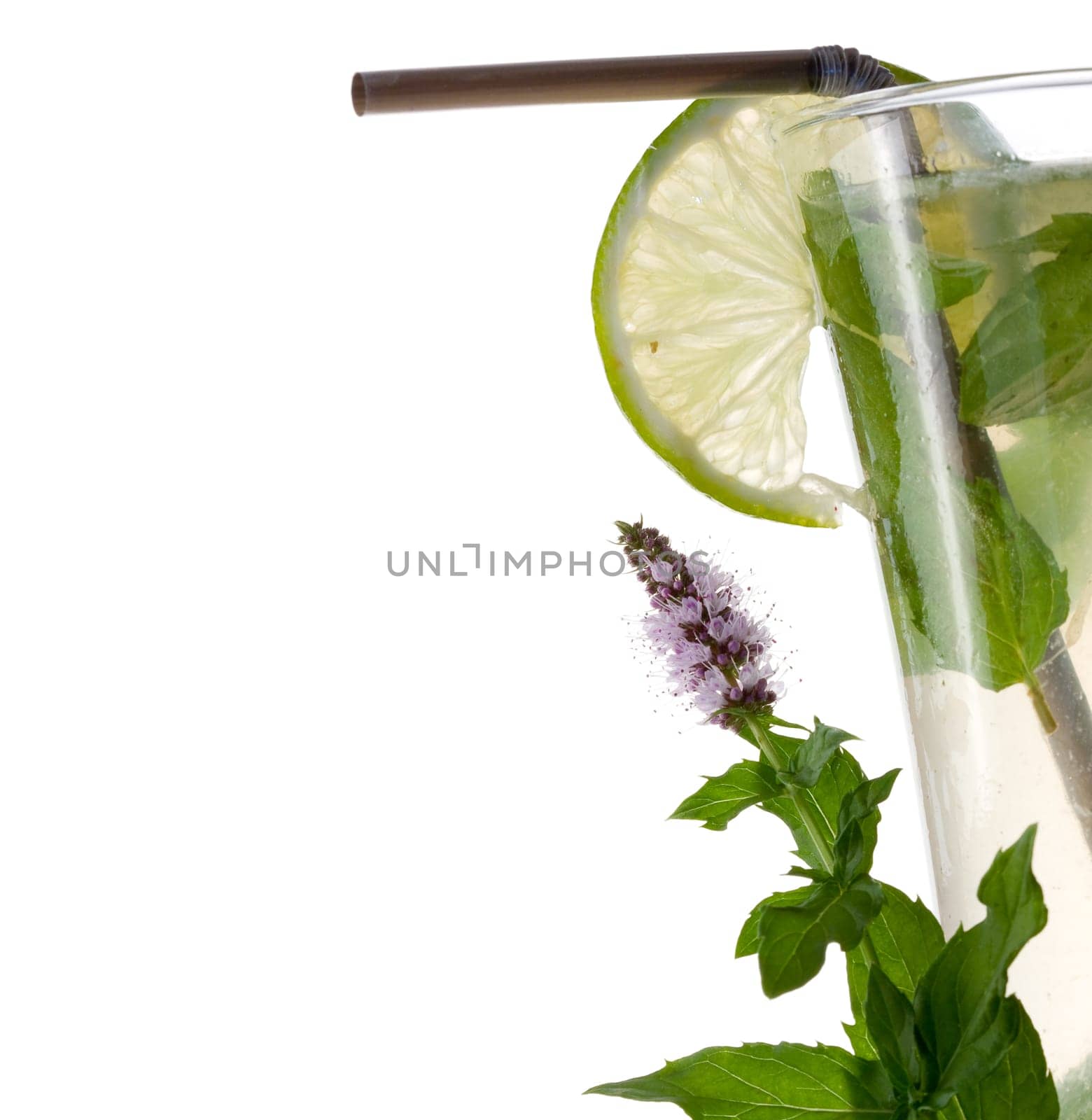 Mojito cocktail