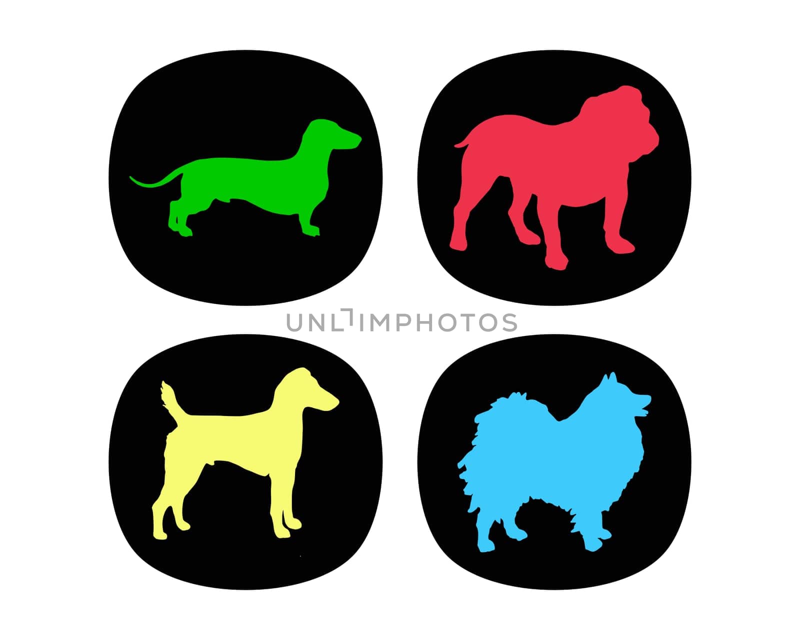 Dog Buttons