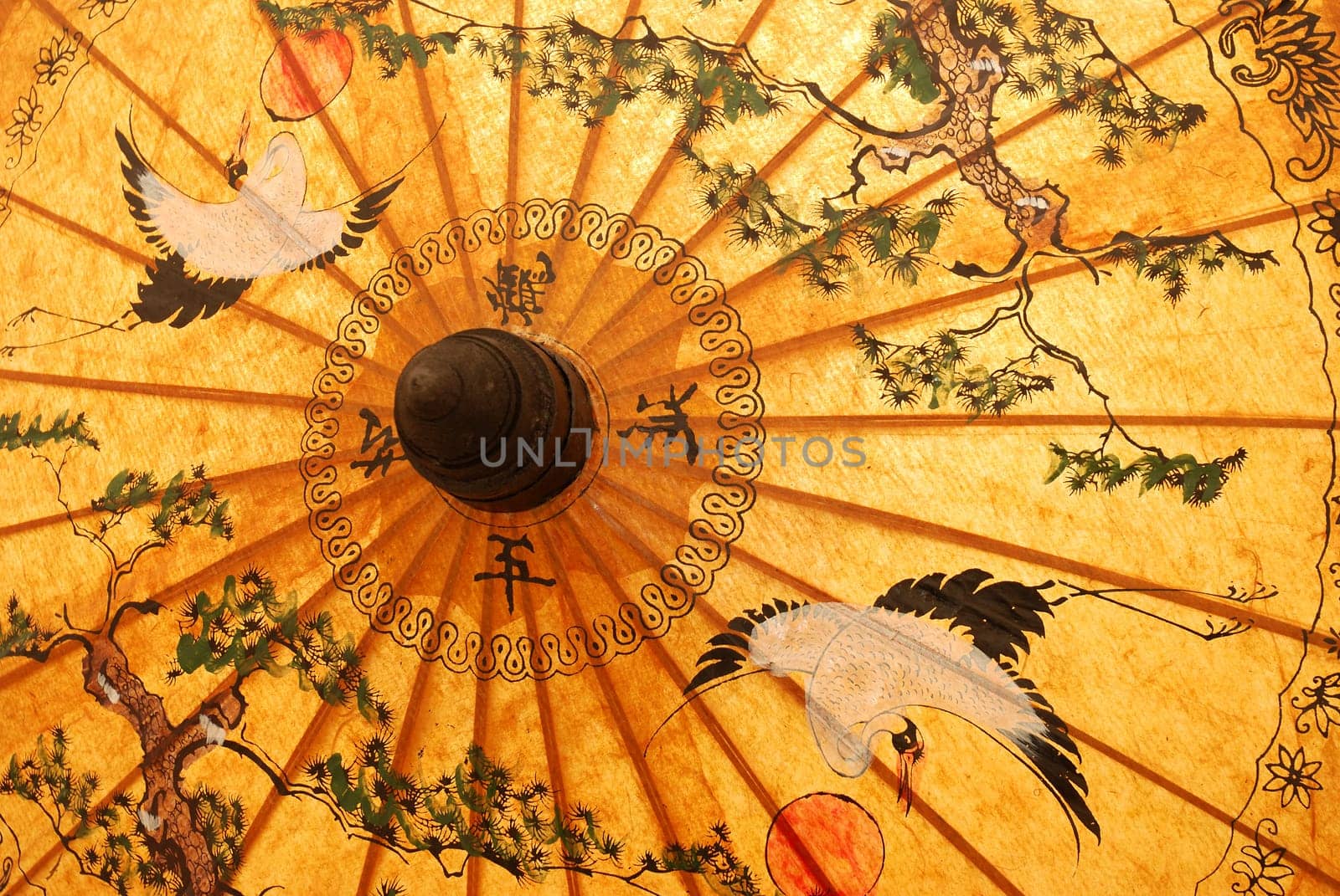 Detail of sunshade