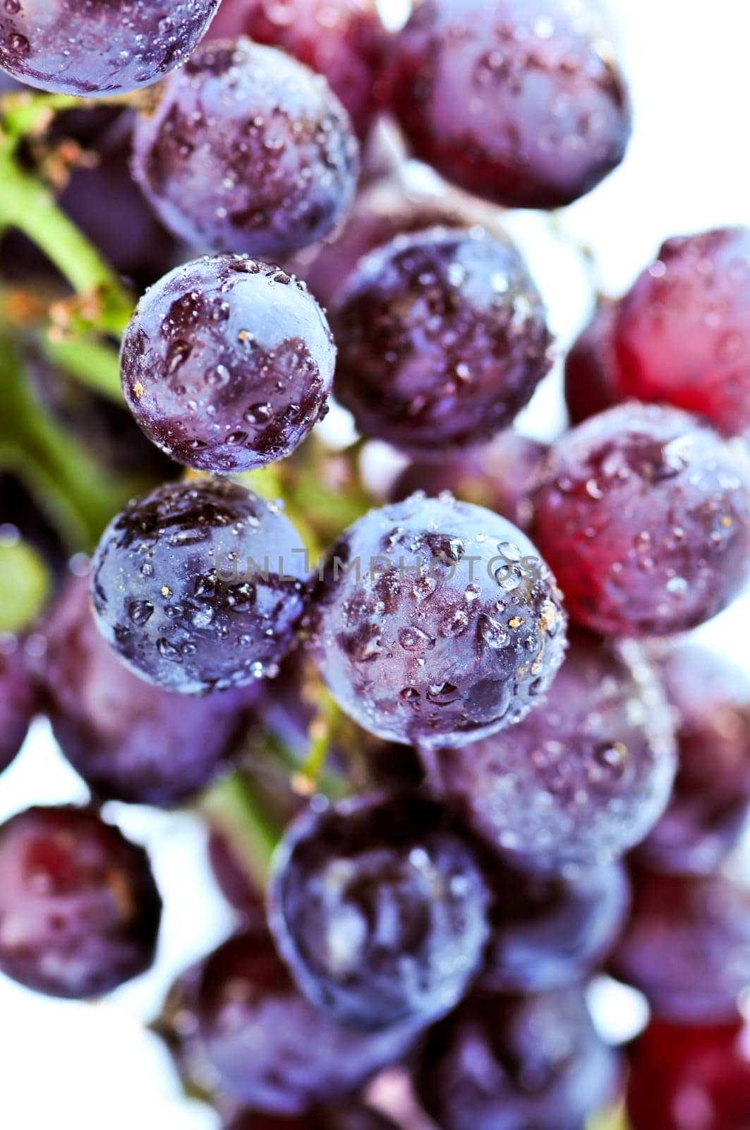 Red grapes
