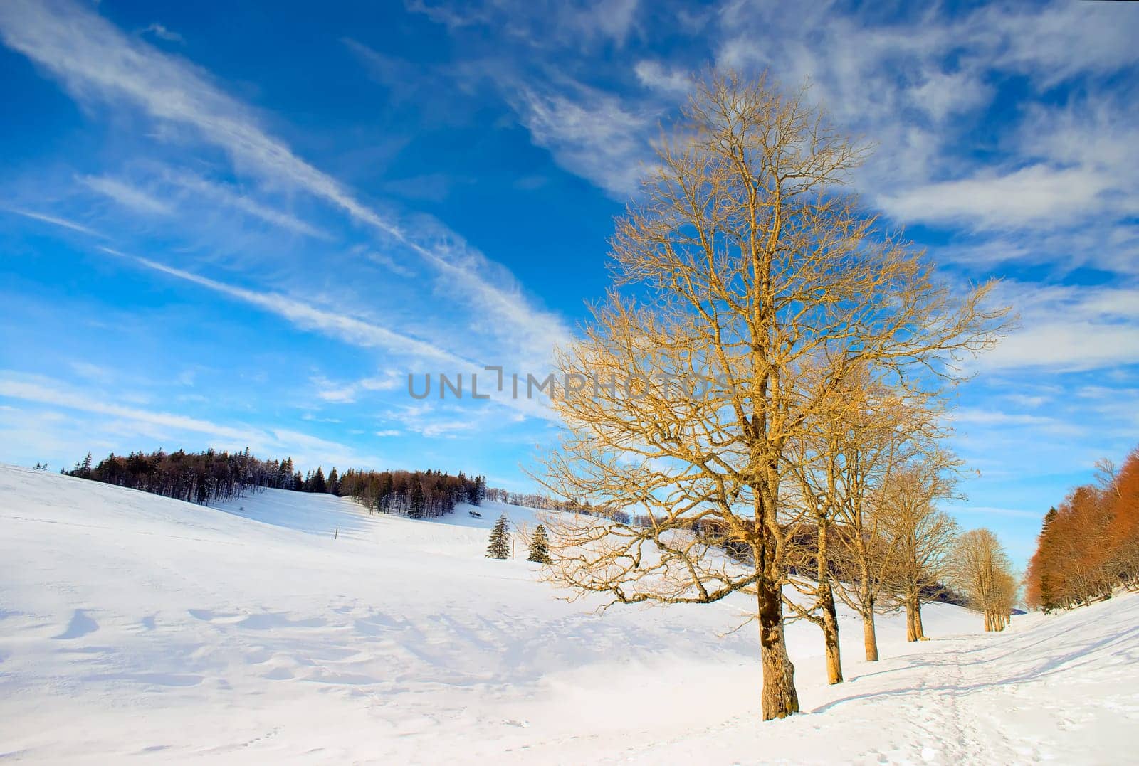 Jura High Trail