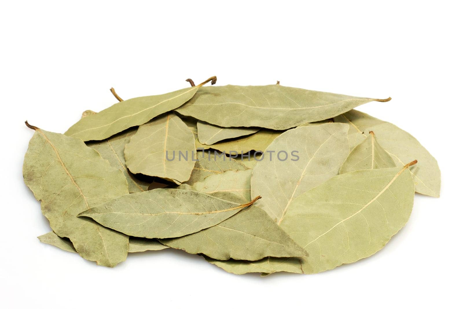 Laurel Leaves