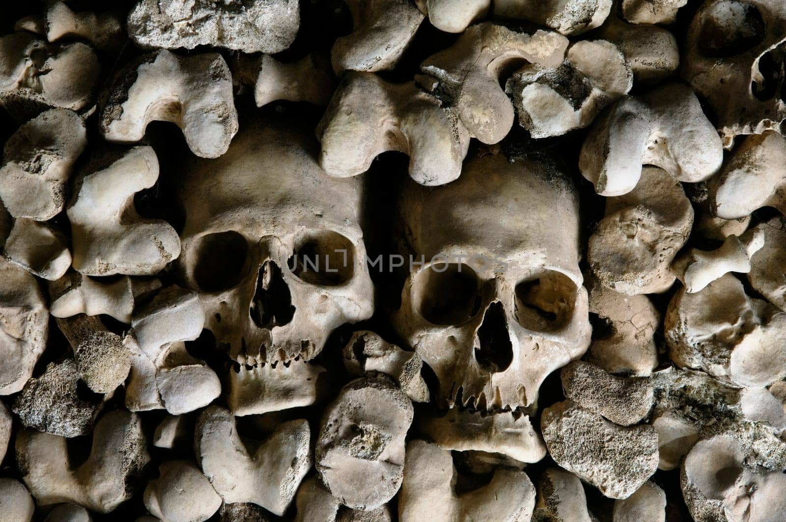 Human skulls