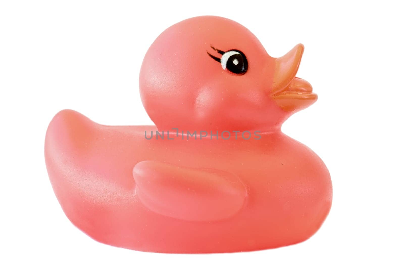 Plastic duck