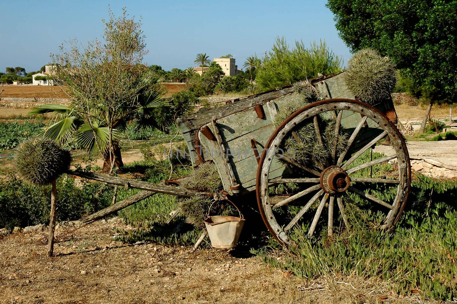 Majorca