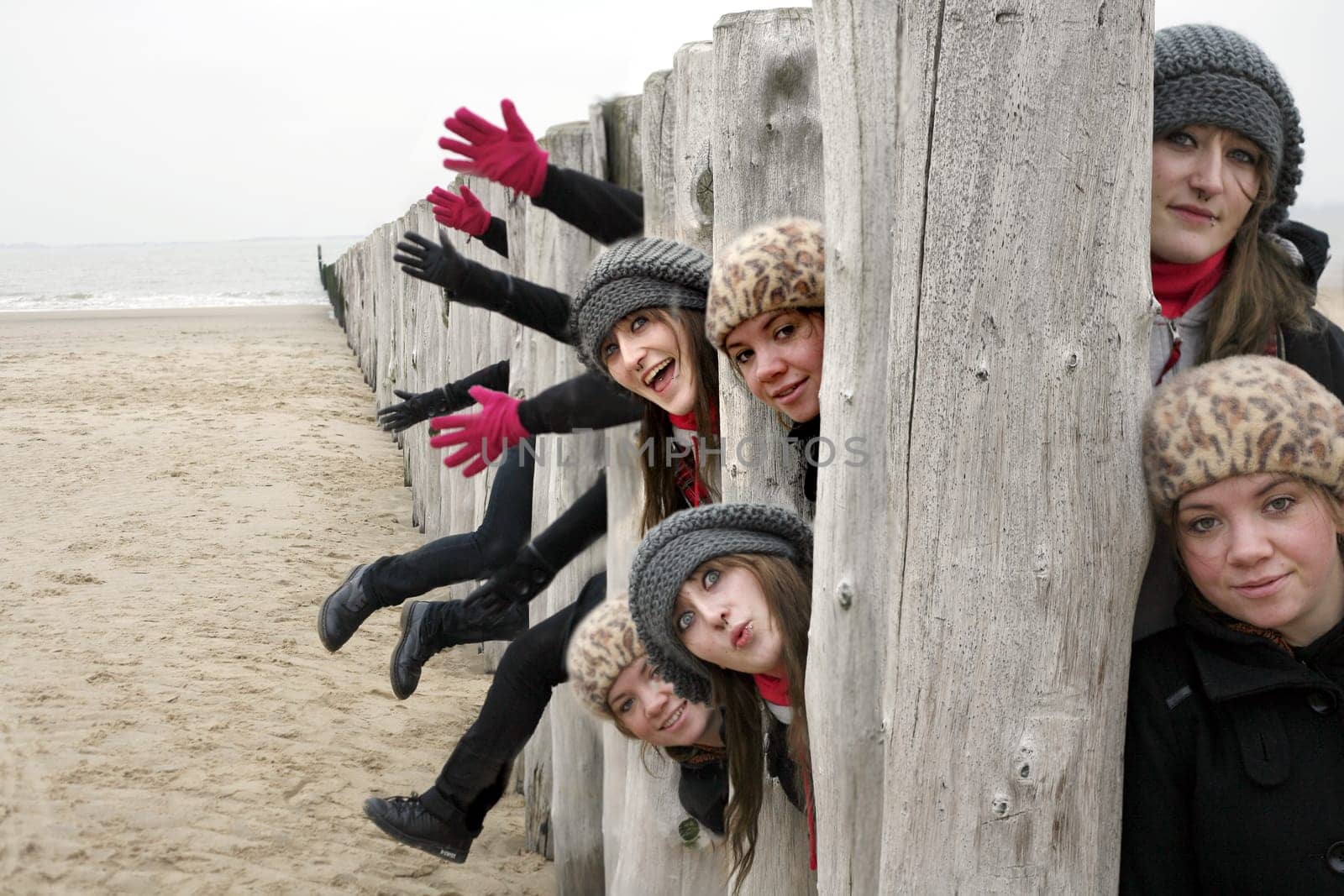 Groynes on the beach of Breskens