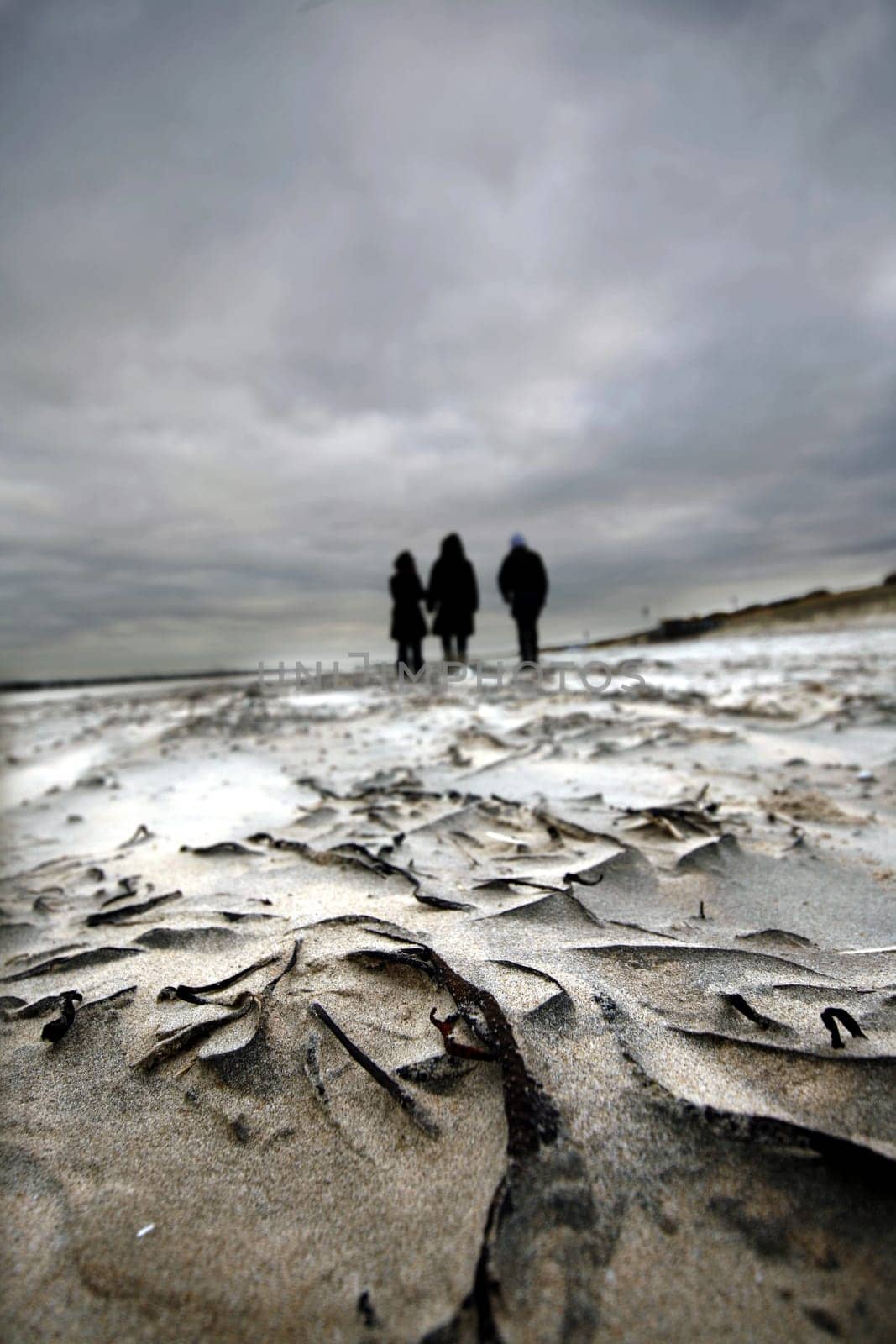 Walk on the beach of Breskens