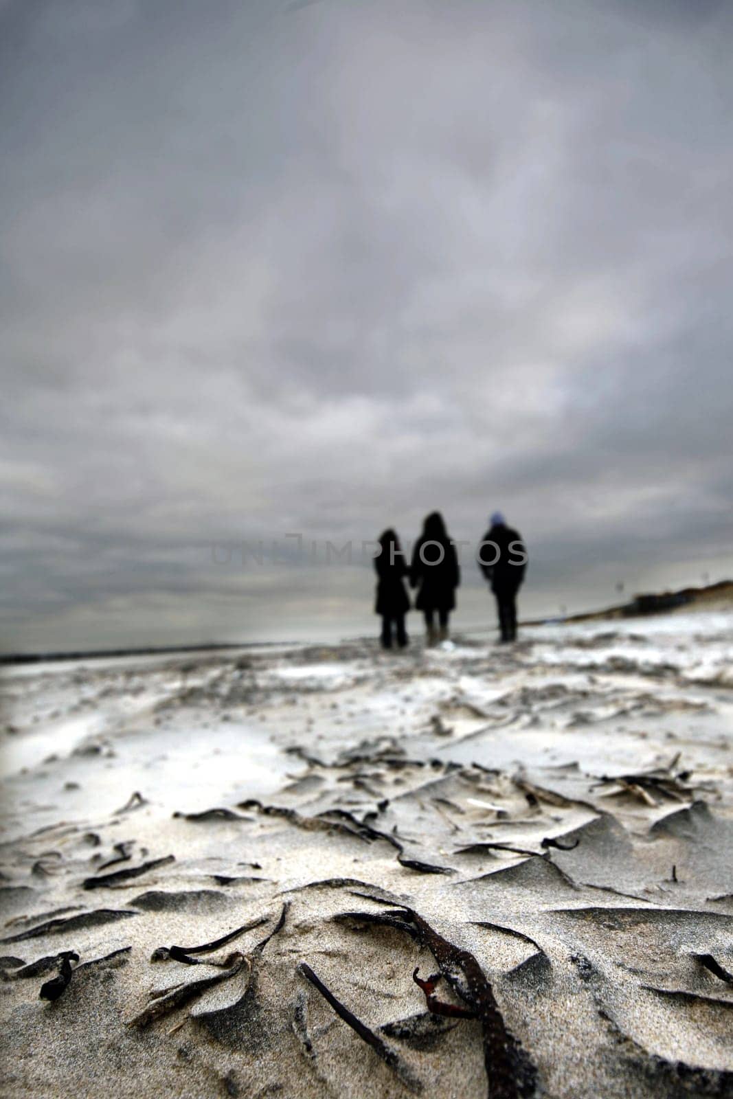 Walk on the beach of Breskens