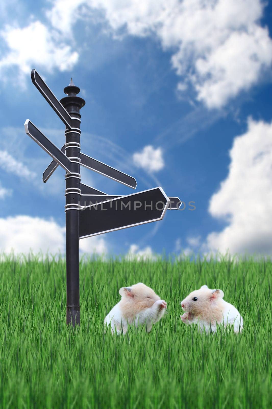 Signpost