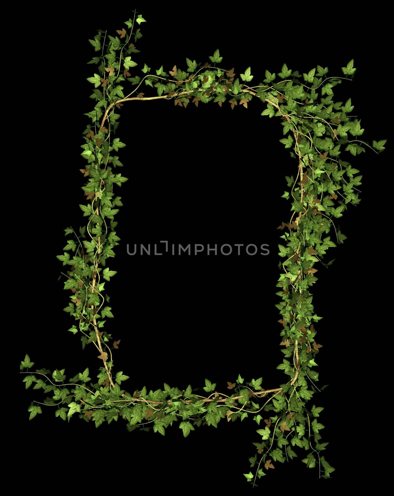 Ivy wreath