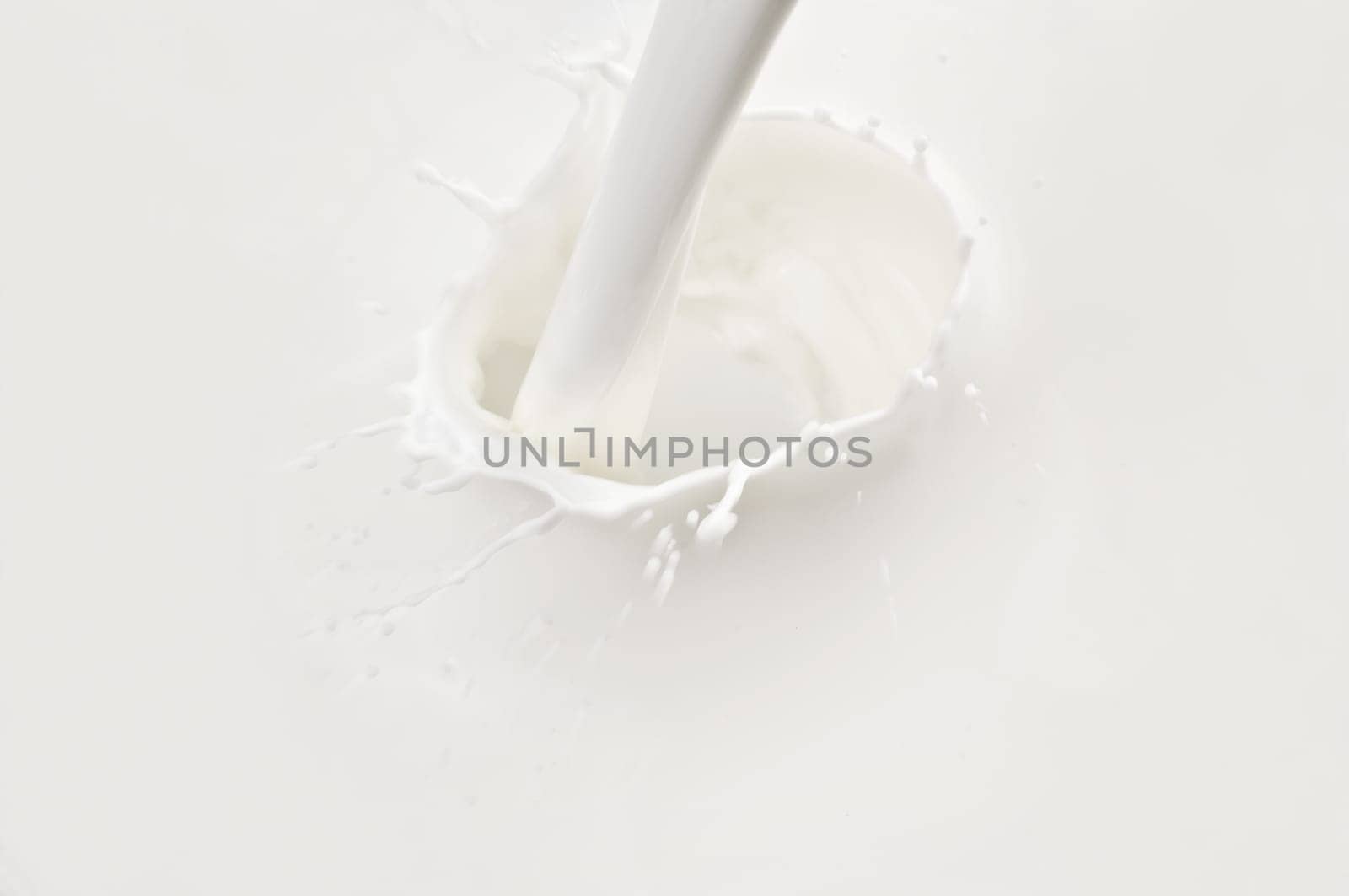 milk without medical without snake without salad without chocolate