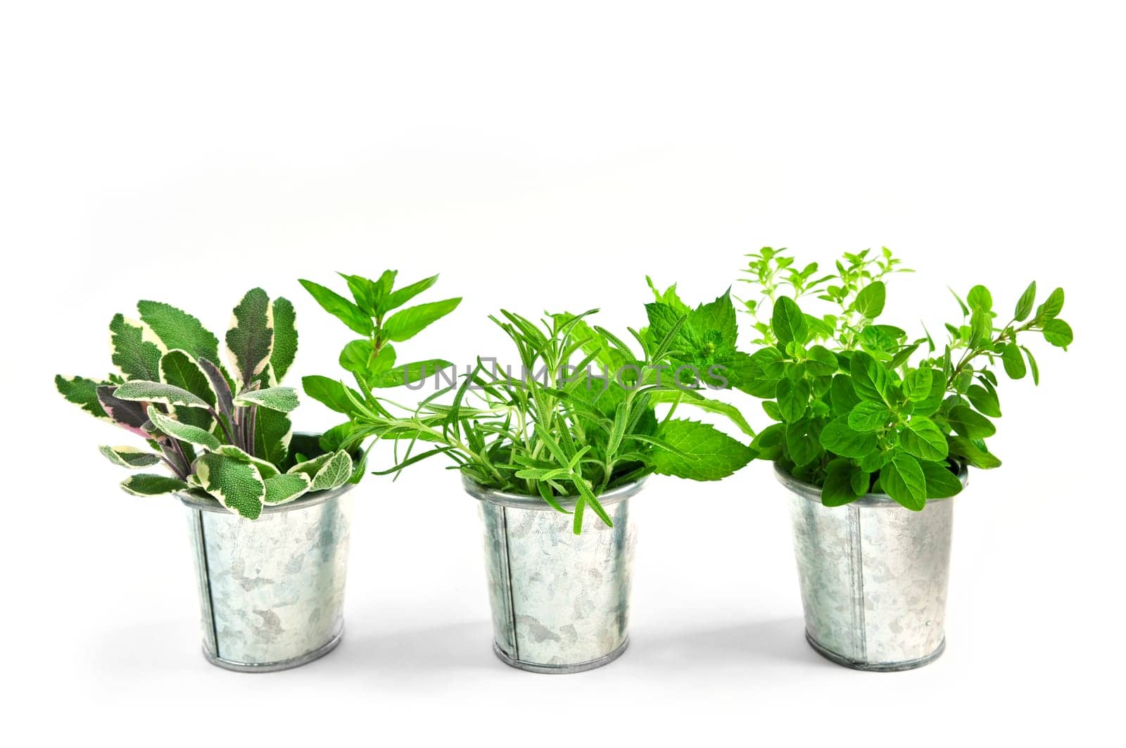 Fresh herbs