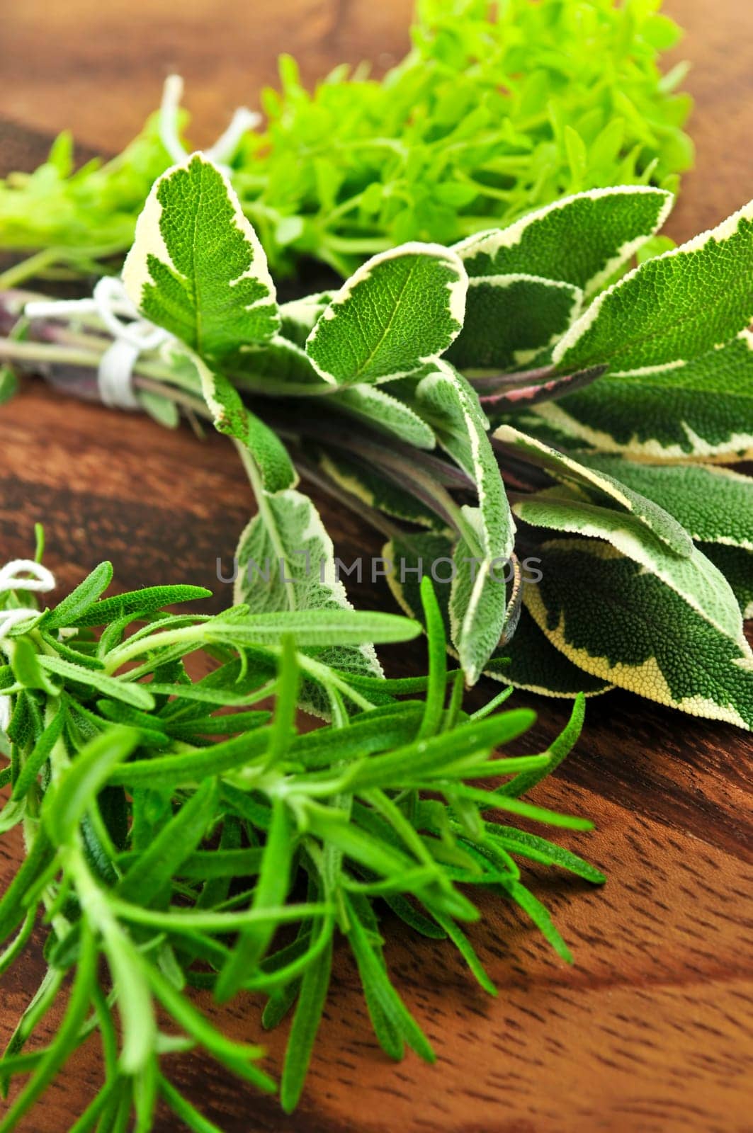 Bunches of fresh herbs