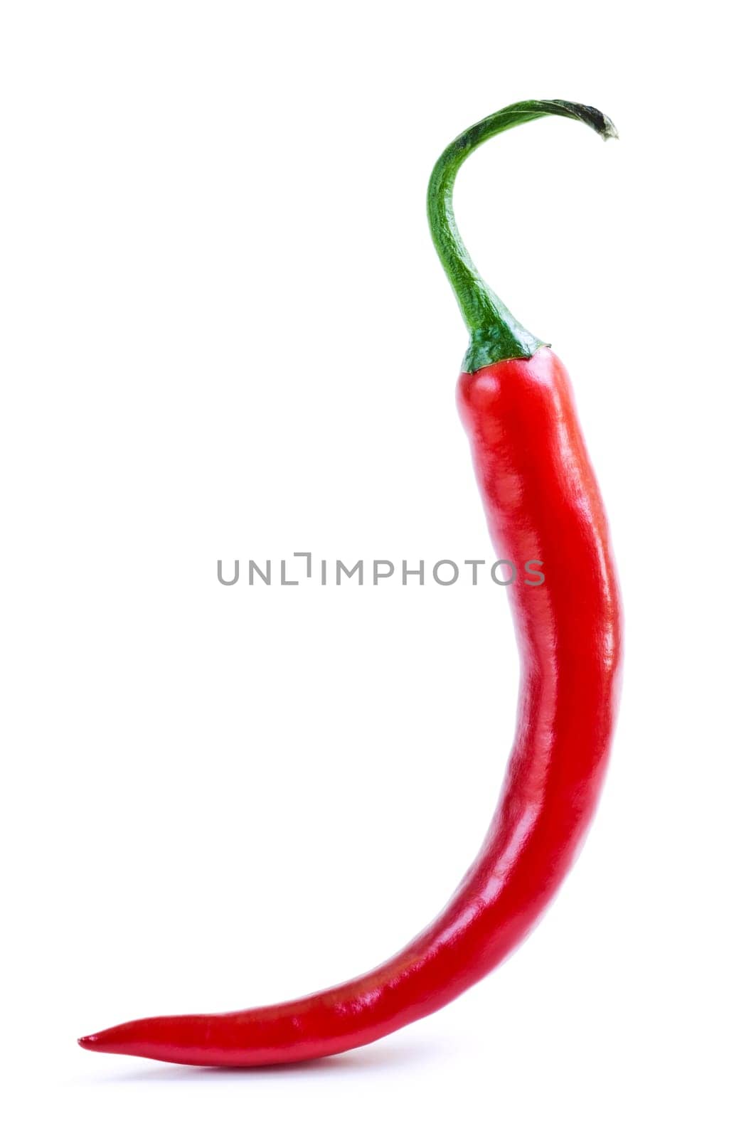 Red hot chili pepper