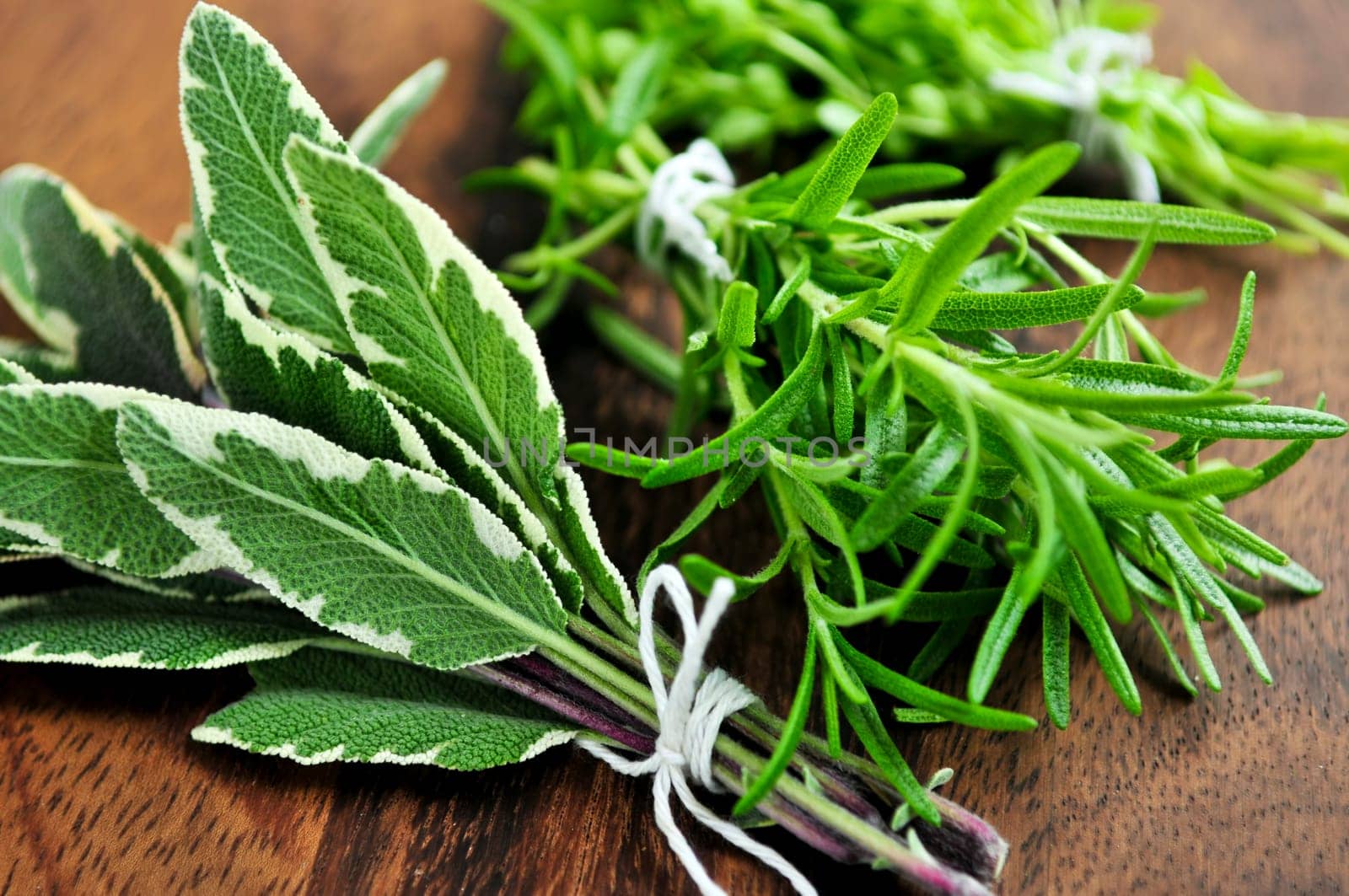 Bunches of fresh herbs