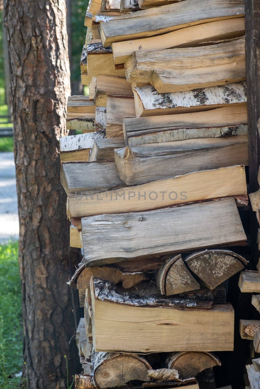 stacked woodpile of birch firewood in nature in the village Close up by AnatoliiFoto