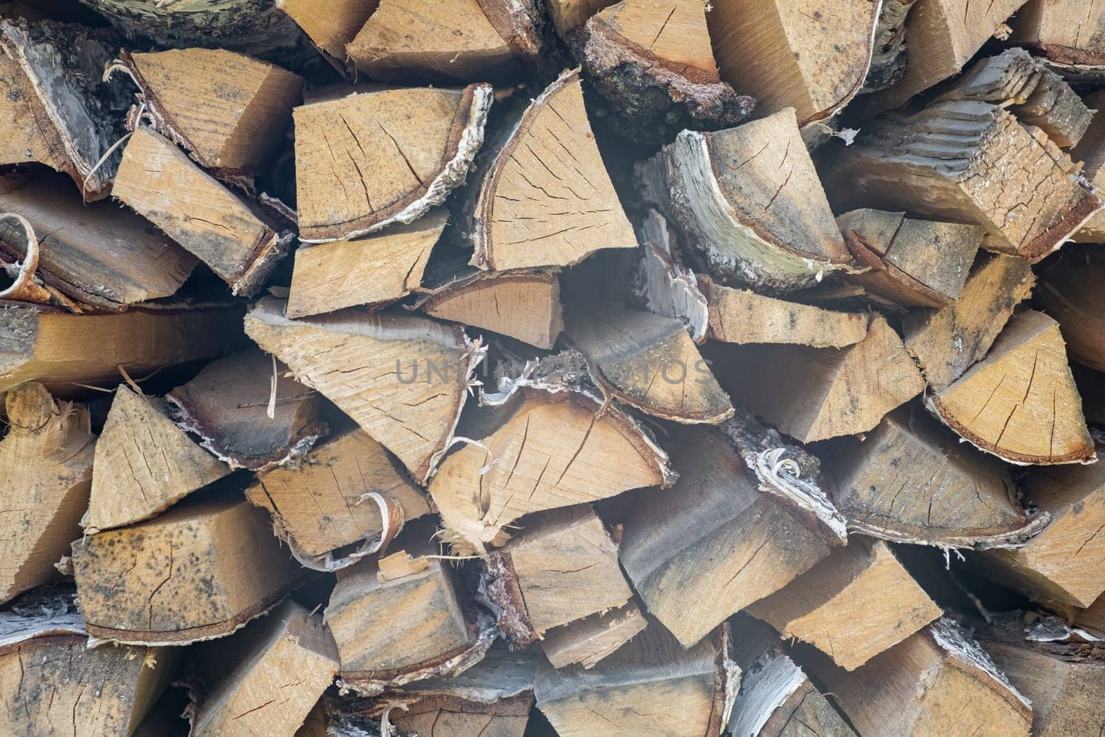 stacked woodpile of birch firewood in nature in the village Close up by AnatoliiFoto